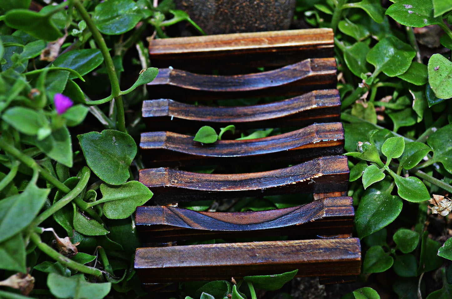 Natural Soap Set + Bamboo Wood Soap Dish - Special gift pack, natural soap, artisan soap, paraben-free, cruelty-free.