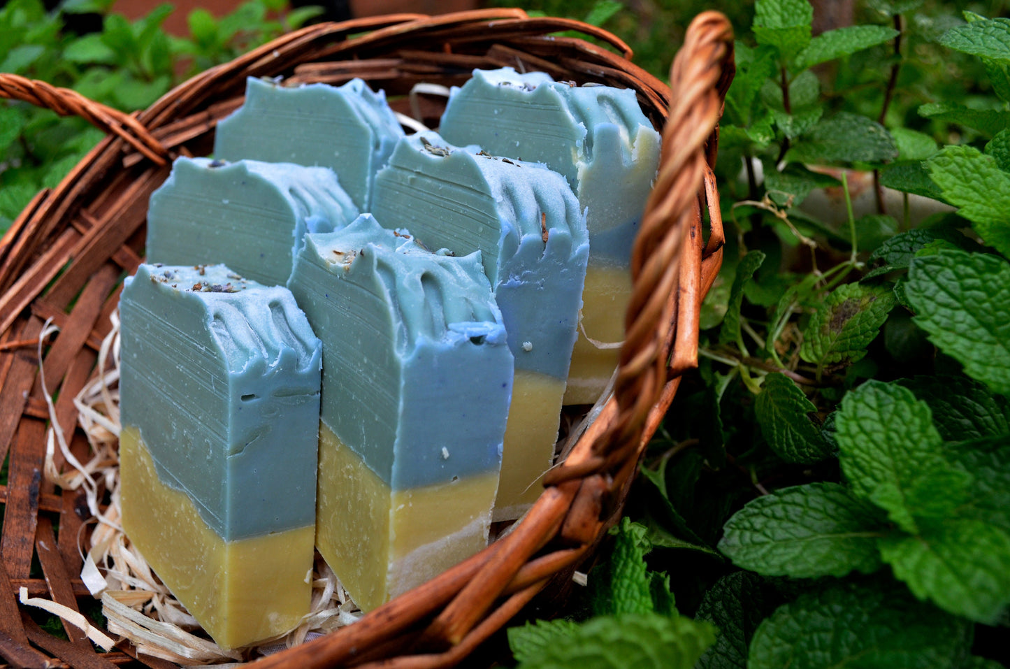 Lavender and Rosemary Soap - antiseptic and fungicidal soap artisan soap natural soap analgesic anti-inflammatory calming and healing.