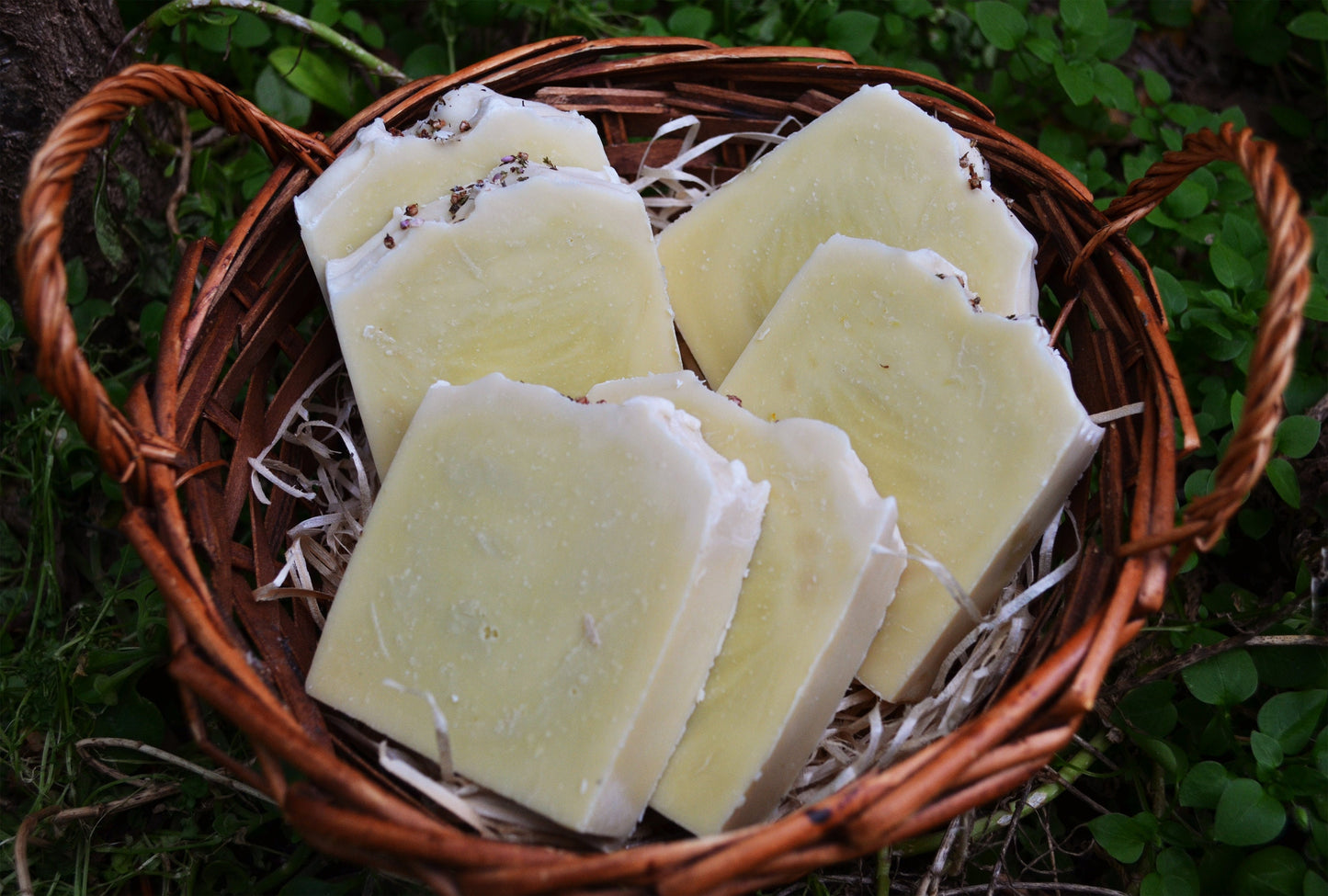 Donkey Milk Soap - natural soap, artisan soap, special for mature and sensitive skin, antioxidant, nourishing, regenerative.